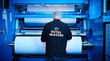 Royal vaassen